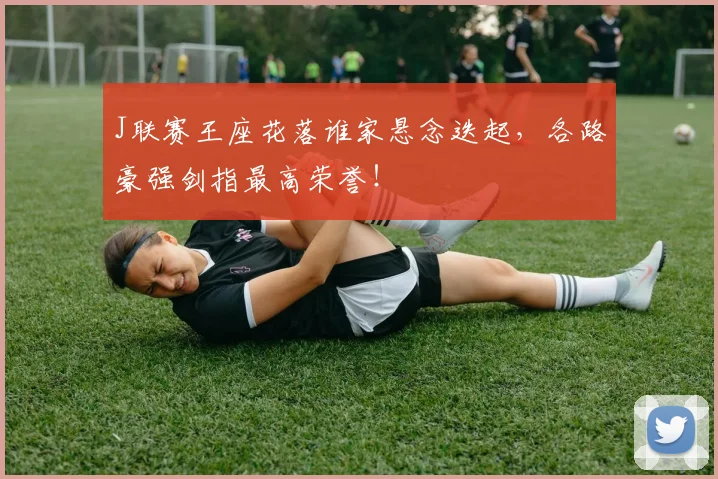 J联赛王座花落谁家悬念迭起，各路豪强剑指最高荣誉！